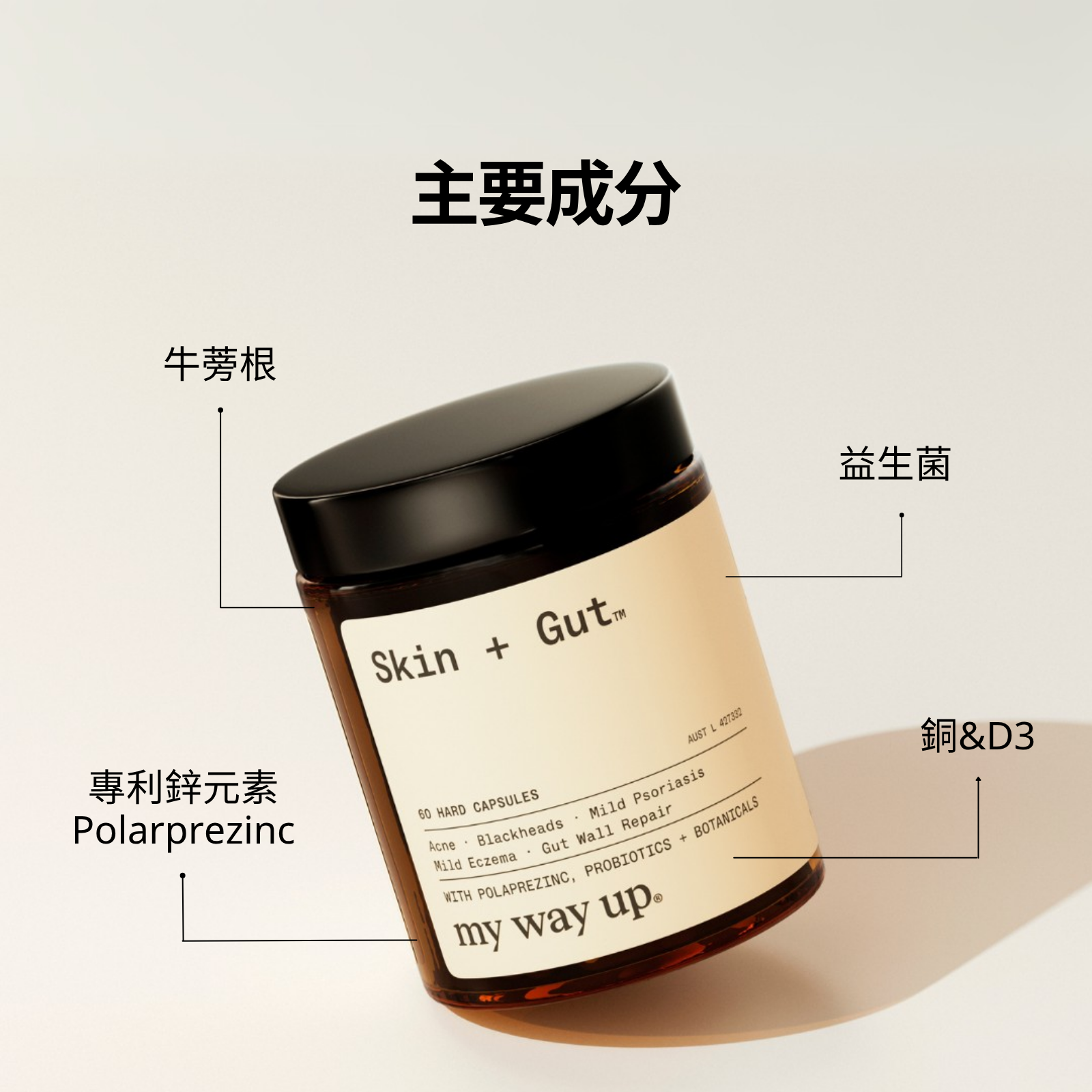 皮膚 + 腸道™