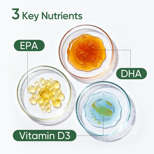 素食 Omega3Stay Healthy