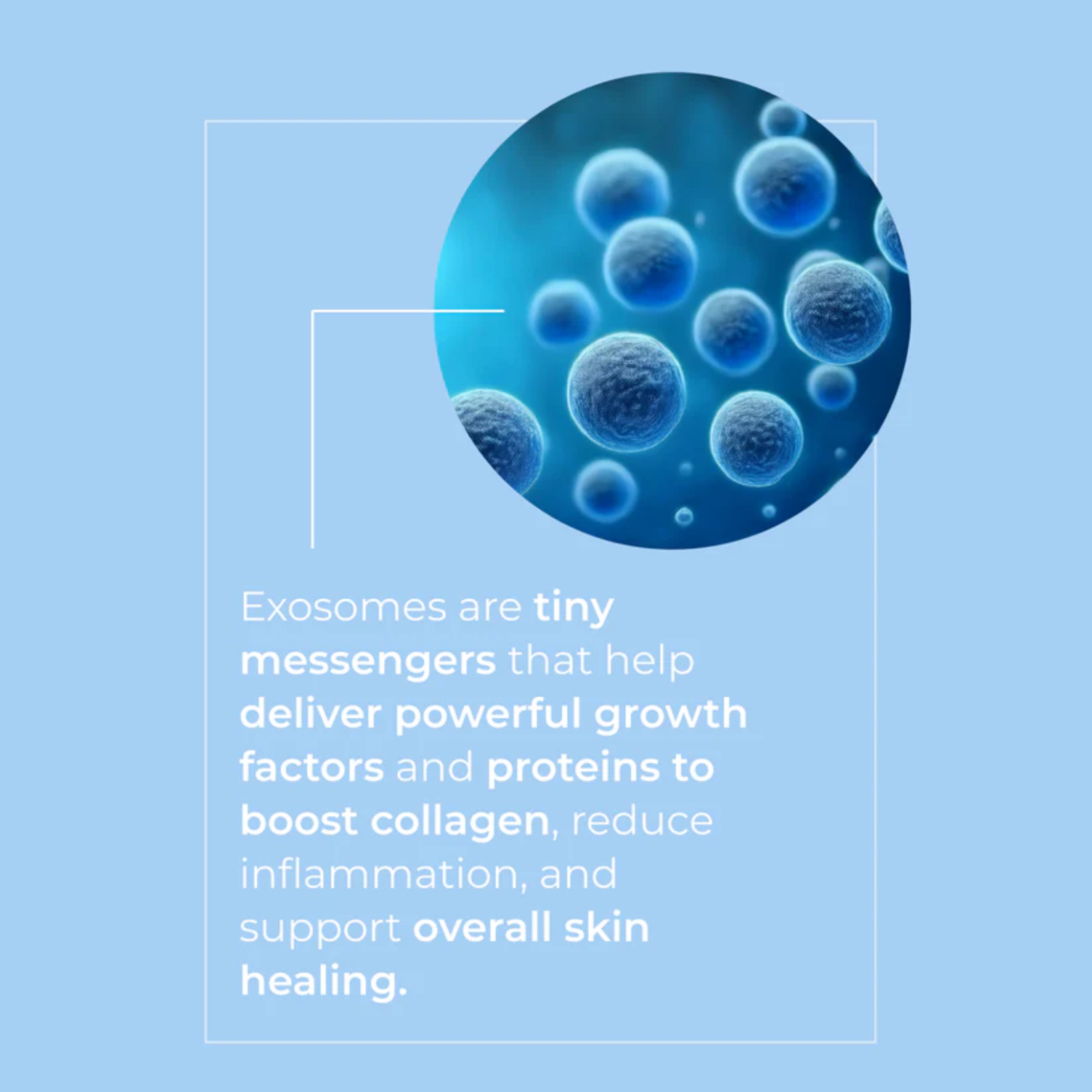 外泌體肌膚修護精華液