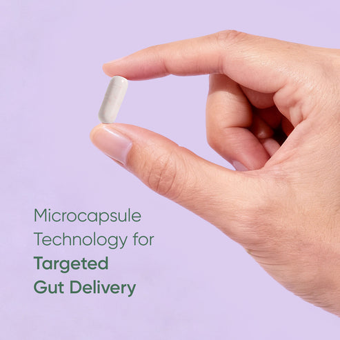 益生菌 14 種菌株Stay Healthy