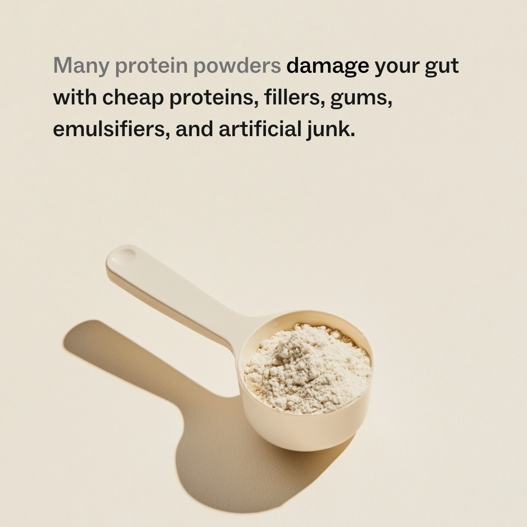 Supergut Protein - 瑞士巧克力