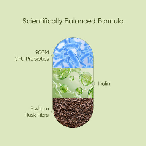 纖維生物素Stay Healthy