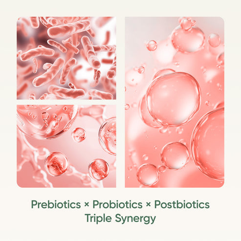 阿克曼氏菌雙重益生菌 -Stay Healthy