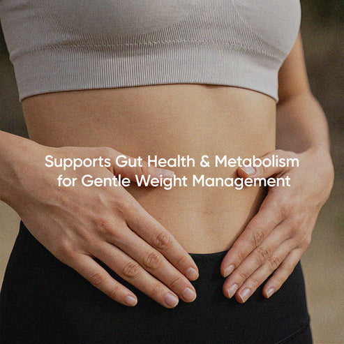 阿克曼氏菌雙重益生菌 -Stay Healthy