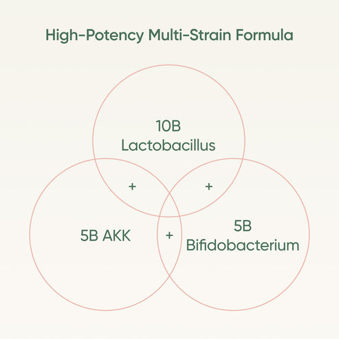 阿克曼氏菌雙重益生菌 -Stay Healthy